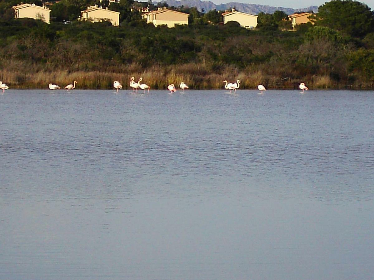 Appartamento Vista Baia Blu Budoni Esterno foto